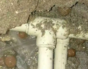 通海测漏水多少钱