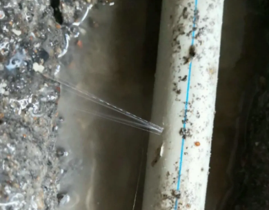 通海测漏水哪家好