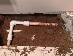 通海测漏水哪家好