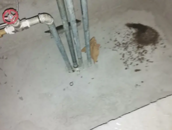 通海卫生间测漏水价格明细