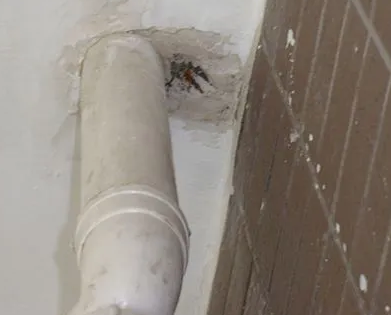 通海漏水检测哪家好